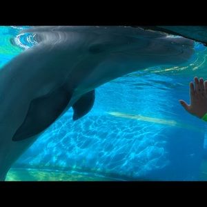 Meet your Posher, Britni